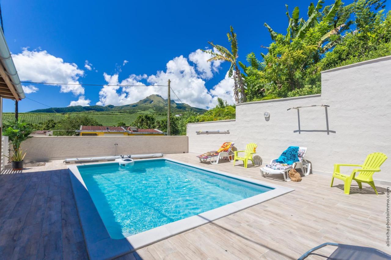 Saint-PierreHeliconia - Appt Avec Piscine Partagee公寓 外观 照片